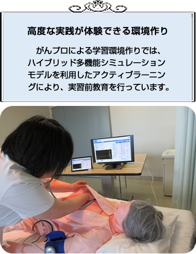 がんプロによるハイブリッド多機能シミュレーションモデルによる演習